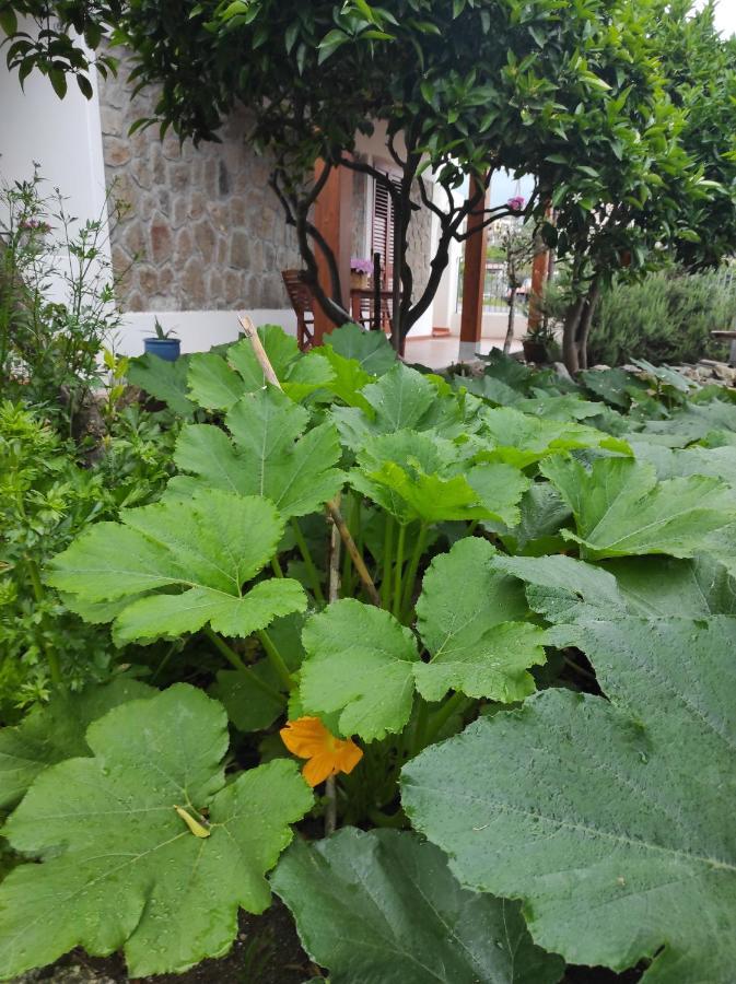 Holiday Home Mennulita Lipari  Exterior photo
